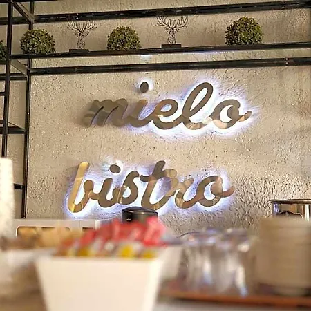 Mielo Lara